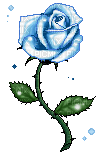Fleur bleue
