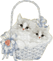 chat