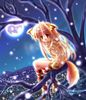 fille renard