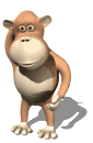 singe gorille