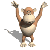 singe gorille