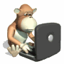 singe gorille ordinateur