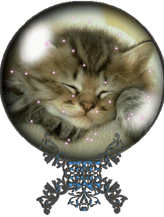 chat boulle