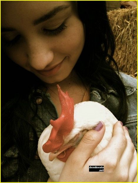 demilovato_net-camprockset-0010
