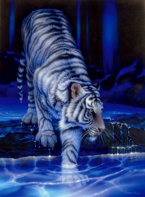 Tigre blanc