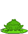 grenouille