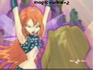 acadarkbloom25wt.jpg