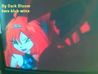 acadarkbloom3.jpg