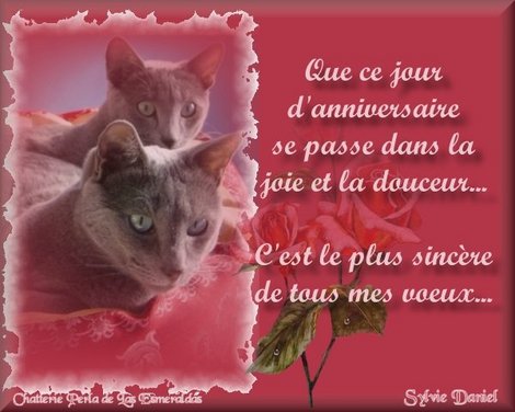 http://images.jedessine.com/_uploads/membres/articles/20100728/yx5xs_zuw3wgfy-3230c9.jpg