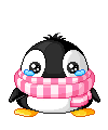 Pinguins - Rain-Blog