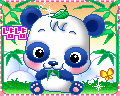 Gifs animaux - Rain-Blog