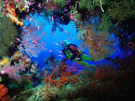 Fonds_Marins_07_1600x1200.jpg