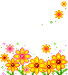 Jolies fleurs - Rain-Blog