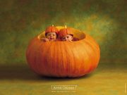 Anne Geddes - bébés citrouille (1024x768px)