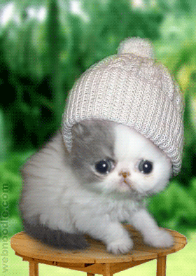 gif chat