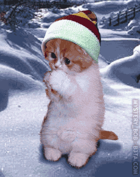 gif chat