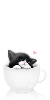trop mimi ce petit chat