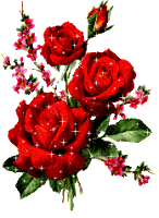 Les roses