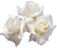 Les roses