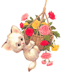 gifs-chats-chiens-EEw6DCCqzA.gif