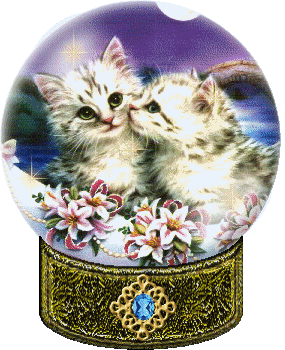 gifs-chats-chiens-HSbB8Tua0f.gif