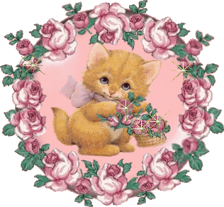 gifs-chats-chiens-cXloKIpH4f.gif