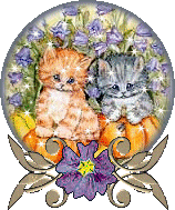 gifs-chats-chiens-BSdilomL4X.gif
