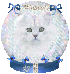 gifs-chats-chiens-yPHExeqi9K.gif