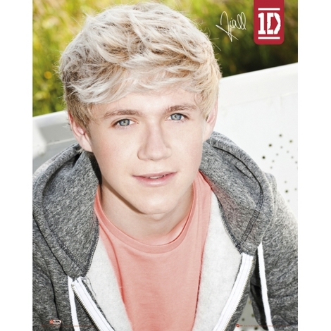 Direction Nial on One Direction