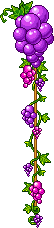 Fruits - Rain-Blog