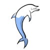 Coloriage DAUPHIN - Coloriage ANIMAUX - Coloriage