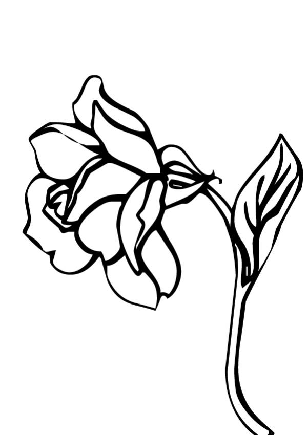 una classe coloring pages of a rose - photo #13