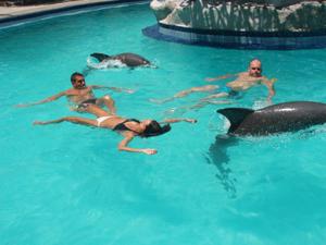 galerie-photos-sur-les-dauphins