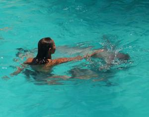 galerie-photos-sur-les-dauphins