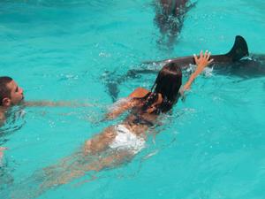 galerie-photos-sur-les-dauphins-n-1