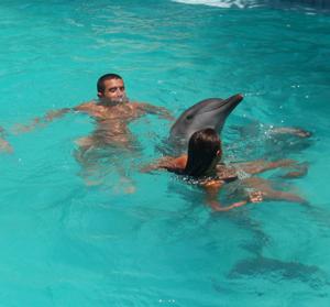 galerie-photos-sur-les-dauphins-n-1