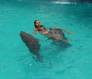 galerie-photos-sur-les-dauphins-n-1