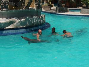galerie-photos-sur-les-dauphins-n-1