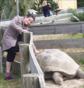 la-vallee-des-tortues