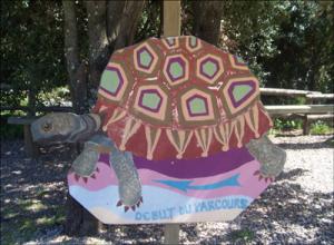 la-vallee-des-tortues
