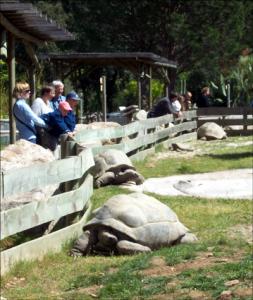 la-vallee-des-tortues