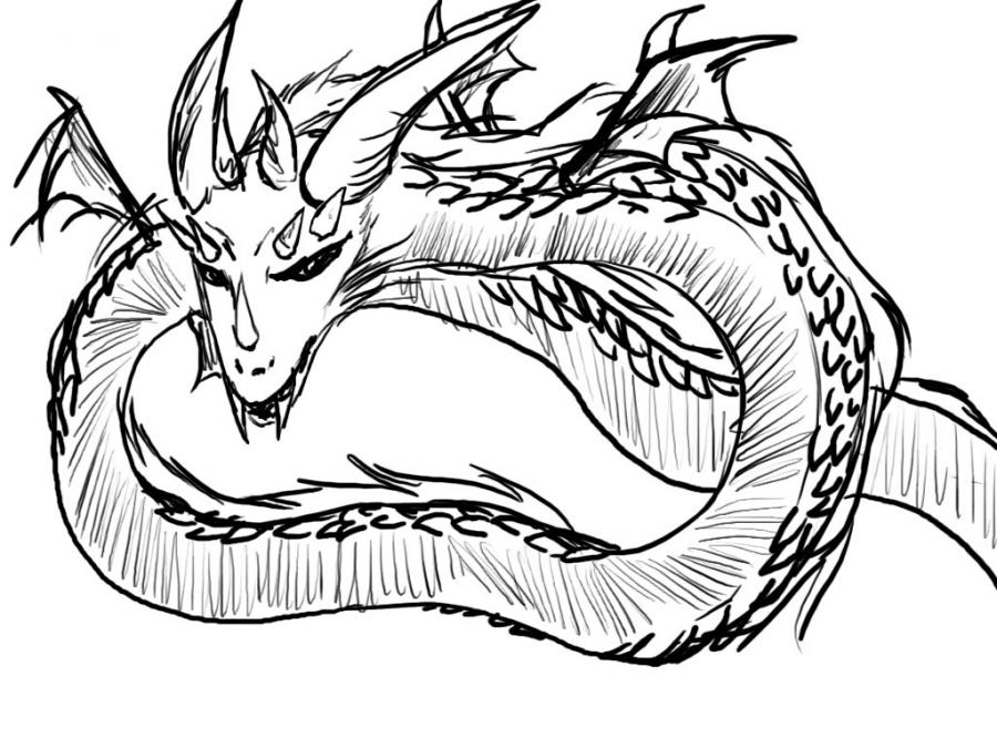le-dragon-d-amandine