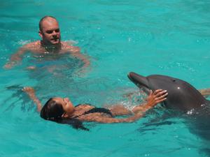 nager-avec-les-dauphins