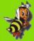 l-apiculture