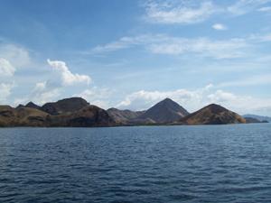 visite-de-l-ile-des-dragons-du-komodo