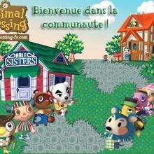 Animal Crossing Wild World - Jeux - Les Jeux des membres de Jedessine