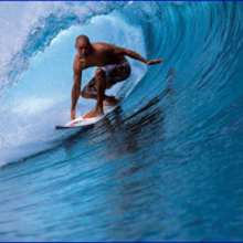 Reportage : Le surf