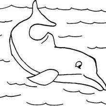 Coloriage d'un dauphin qui nage