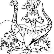 Coloriage : Dinosaure avec un bec