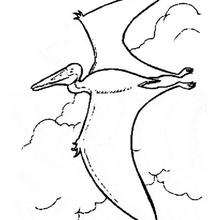 Coloriage : Pterodactyle
